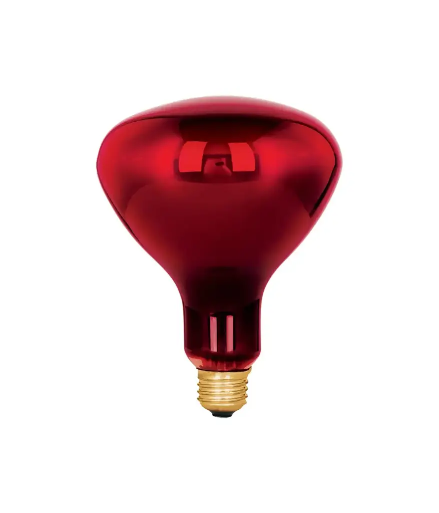 Foco infrarojo rojo 250w 110-140v rosca E27 MAVIJU