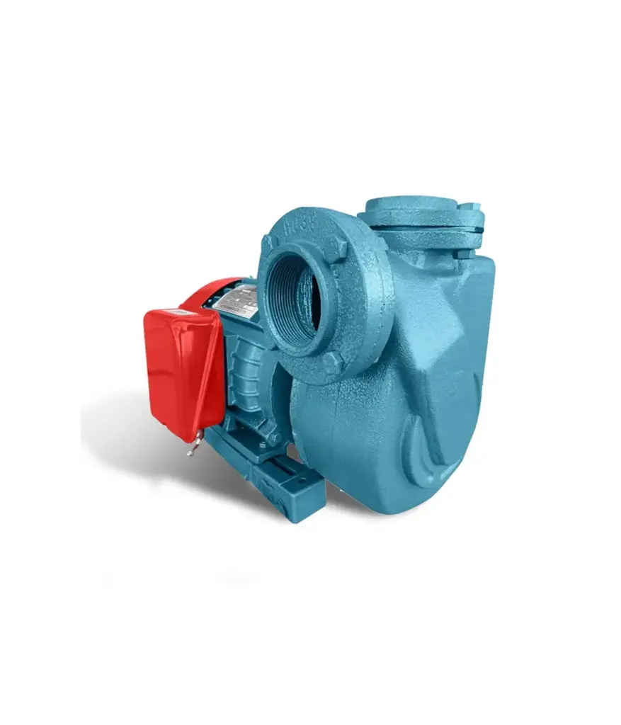 Bomba 2 HP-110/220v 2"x2" a caudal Rong Long W4075