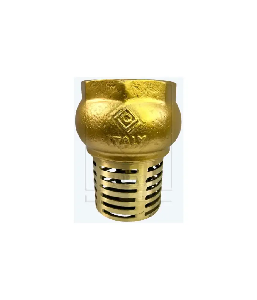 valvula cheque canastilla bronce 2" ITALY (3145N09)