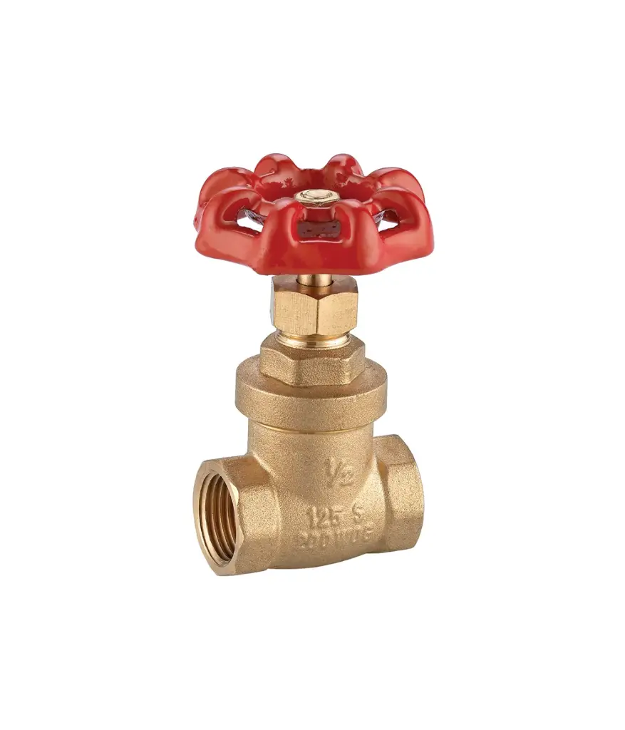 Valvula de compuerta 1/2" FV (0600.13.B BR)