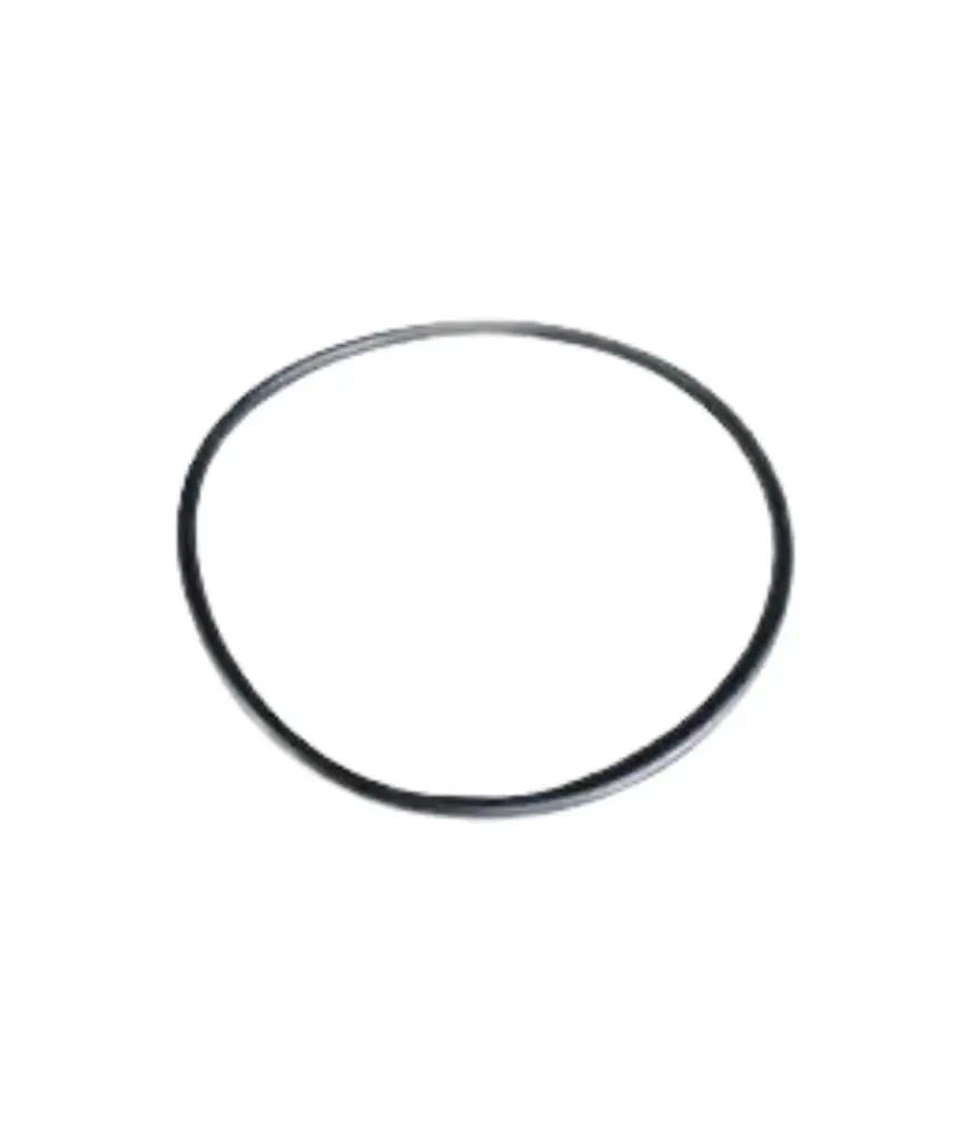 PACER oring p/carcasa (719.72)