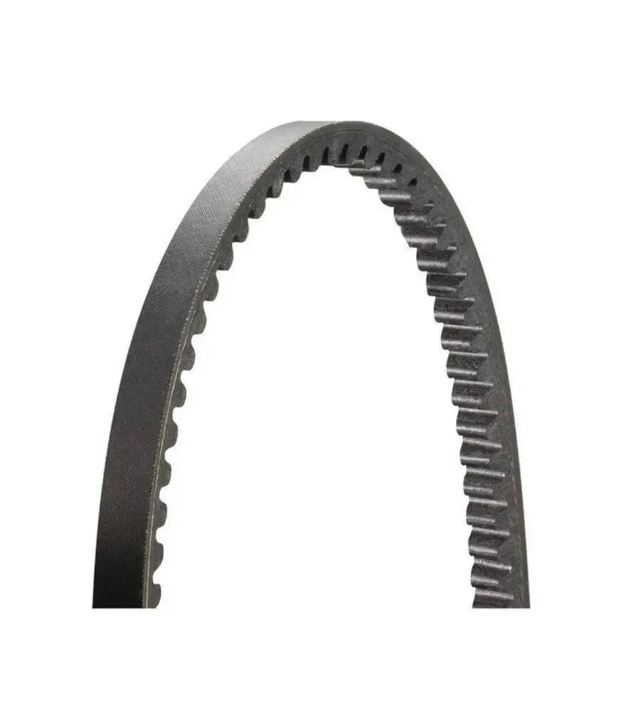 Banda dentada  A 11" 15530/15520