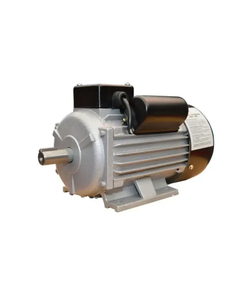 Motor cerrado 1 HP Rong Long Monof 1700 rpm 110/220v TCC1-4