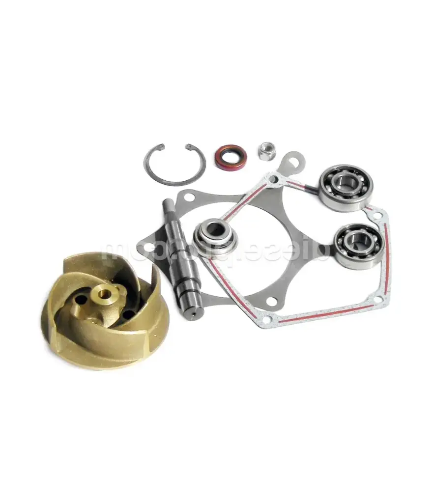Detroit Diesel FP KIT Reparacion bomba K-5 (23506851)