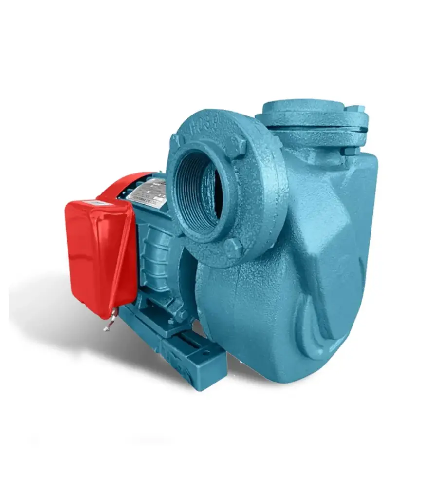 Bomba 3 HP 110/220V 2"x2" - W63100 Rong Long PRESION