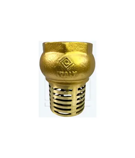 [PFV.CHE.0050] valvula cheque canastilla bronce 2" ITALY (3145N09)