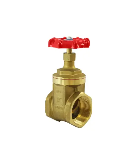[PFV.COM.0026] Valvula de compuerta 2" Red White