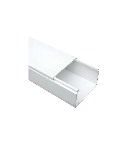 [EE.CAN.0013] Canaleta 50x25mmx2mt s/adhesivo