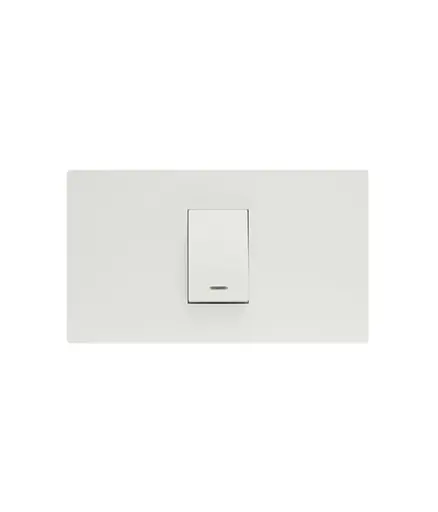 [EE.INT.0104] Interruptor simple Taiwan/FALCON EMPOTRADO