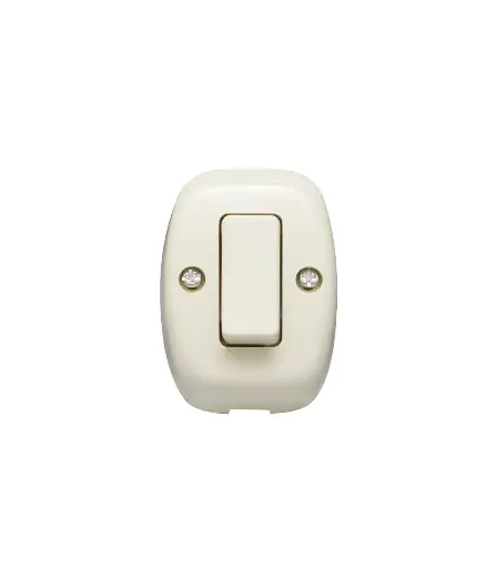 [EE.INT.0105] Interruptor sobrepuesto sencillo
