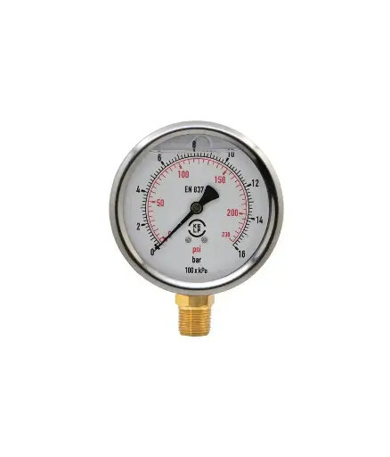 [FIAI.MAN.0020] Manometro 220 BAR  1/4" glycerina SPRINKLER