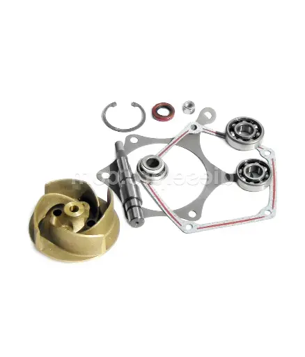 [MNA.DET.0012] Detroit Diesel FP KIT Reparacion bomba K-5 (23506851)