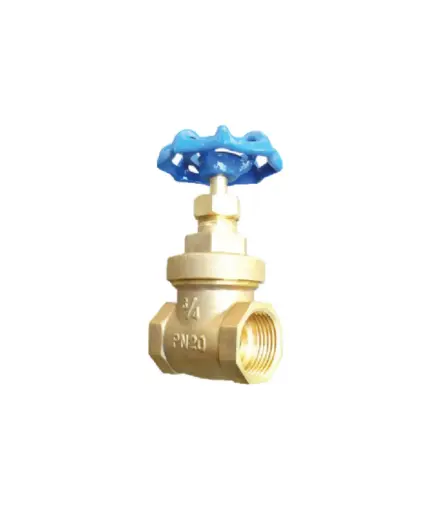 [PFV.COM.0036] Valvula de compuerta 3/4" SK
