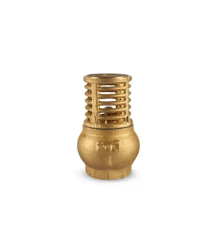 [PFV.CHE.0045] valvula cheque canastilla bronce 2" (3145N09)
